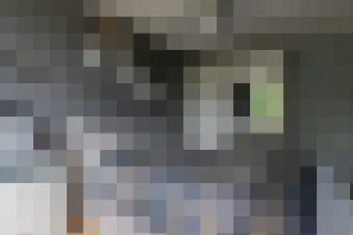 Gerard Douhof 32 Nijkerk thumbnail 13