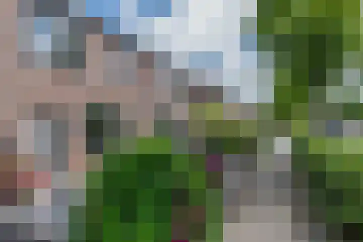 Gerard Douhof 32 Nijkerk thumbnail 28