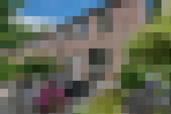 Gerard Douhof 32 Nijkerk thumbnail 29