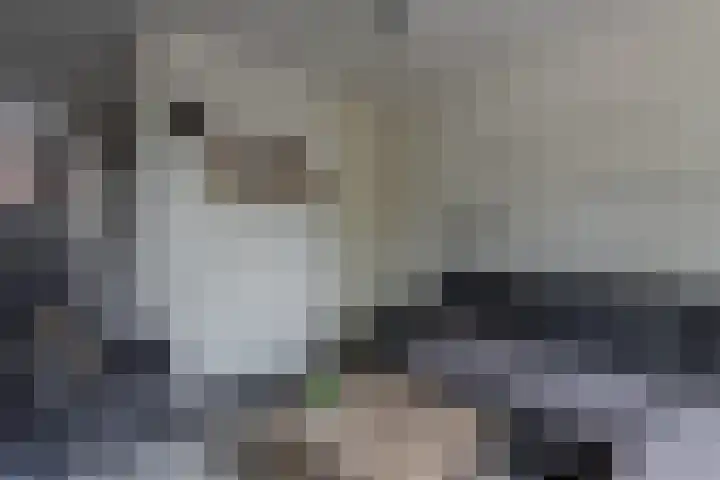 Gerard Douhof 32 Nijkerk thumbnail 4
