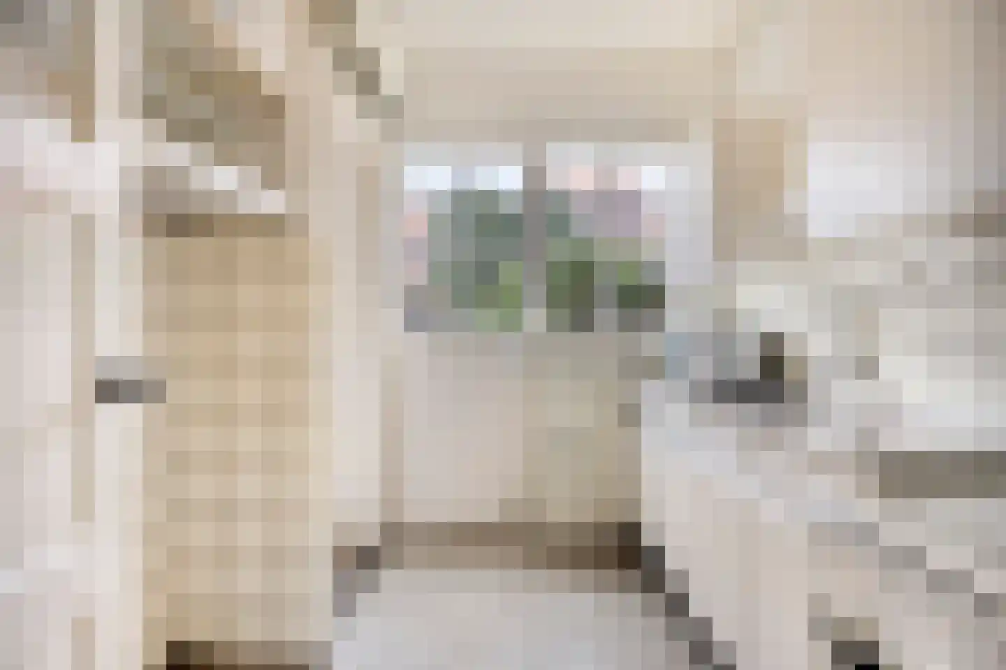 Gerard Doulaan 12 Amstelveen thumbnail 5