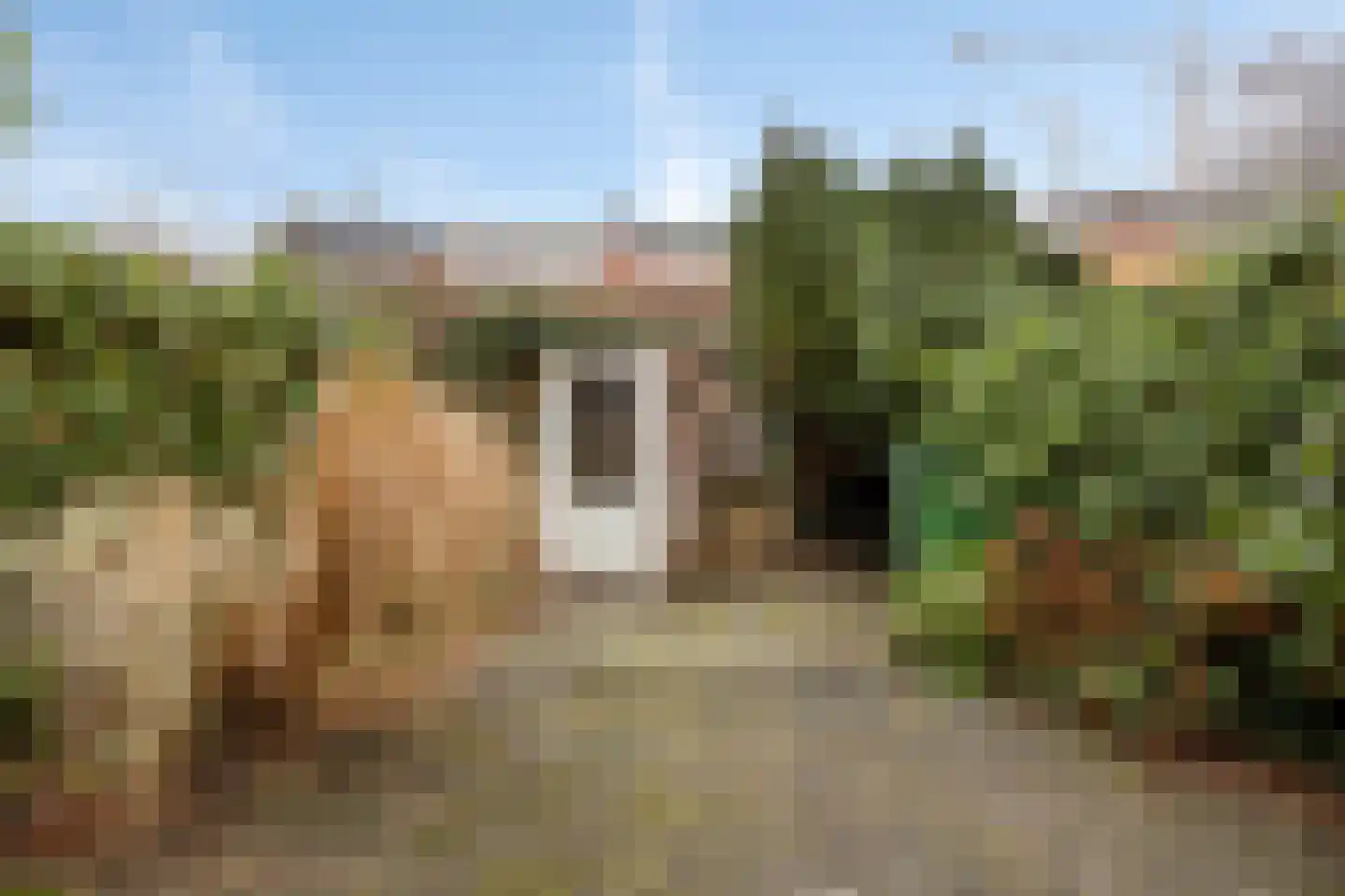 Gerard Doulaan 12 Amstelveen thumbnail 8