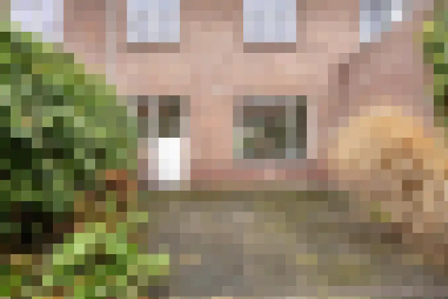 Gerard Doulaan 12 Amstelveen thumbnail 9