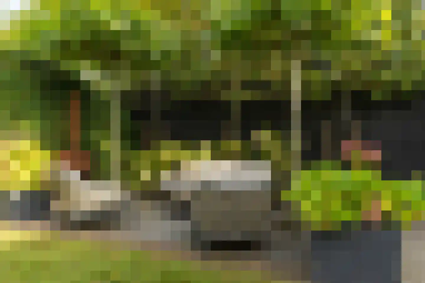 Gerard Doulaan 14 Naarden thumbnail 47