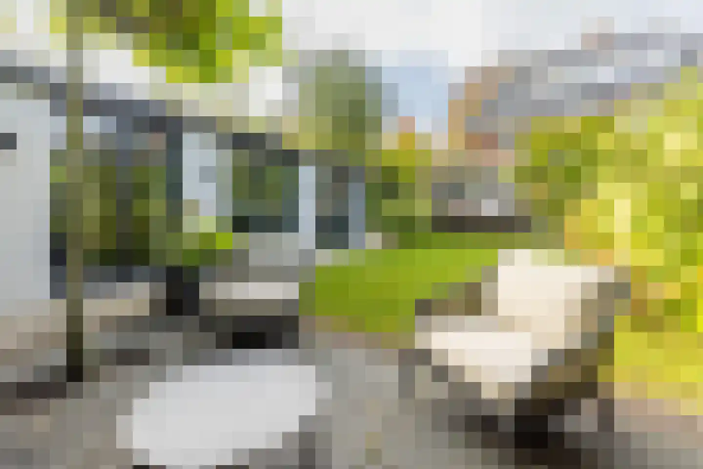 Gerard Doulaan 14 Naarden thumbnail 48