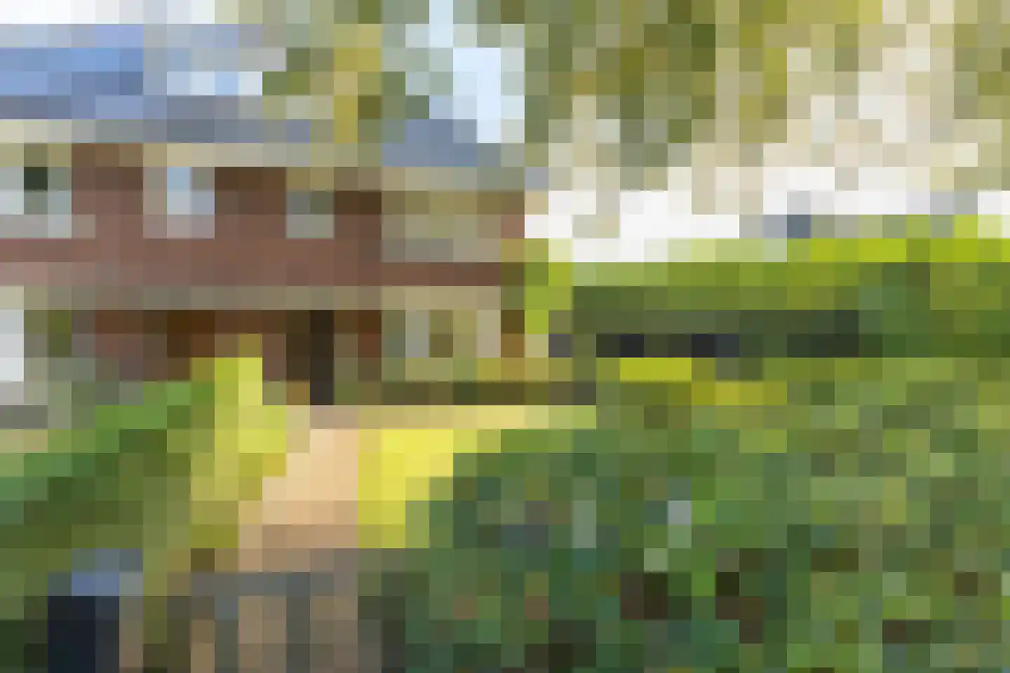 Gerard Doulaan 14 Naarden thumbnail 5