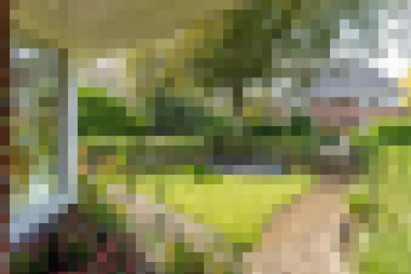Gerard Doulaan 14 Naarden thumbnail 62
