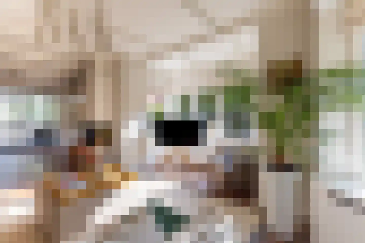 Gerard Doulaan 14 Naarden thumbnail 9