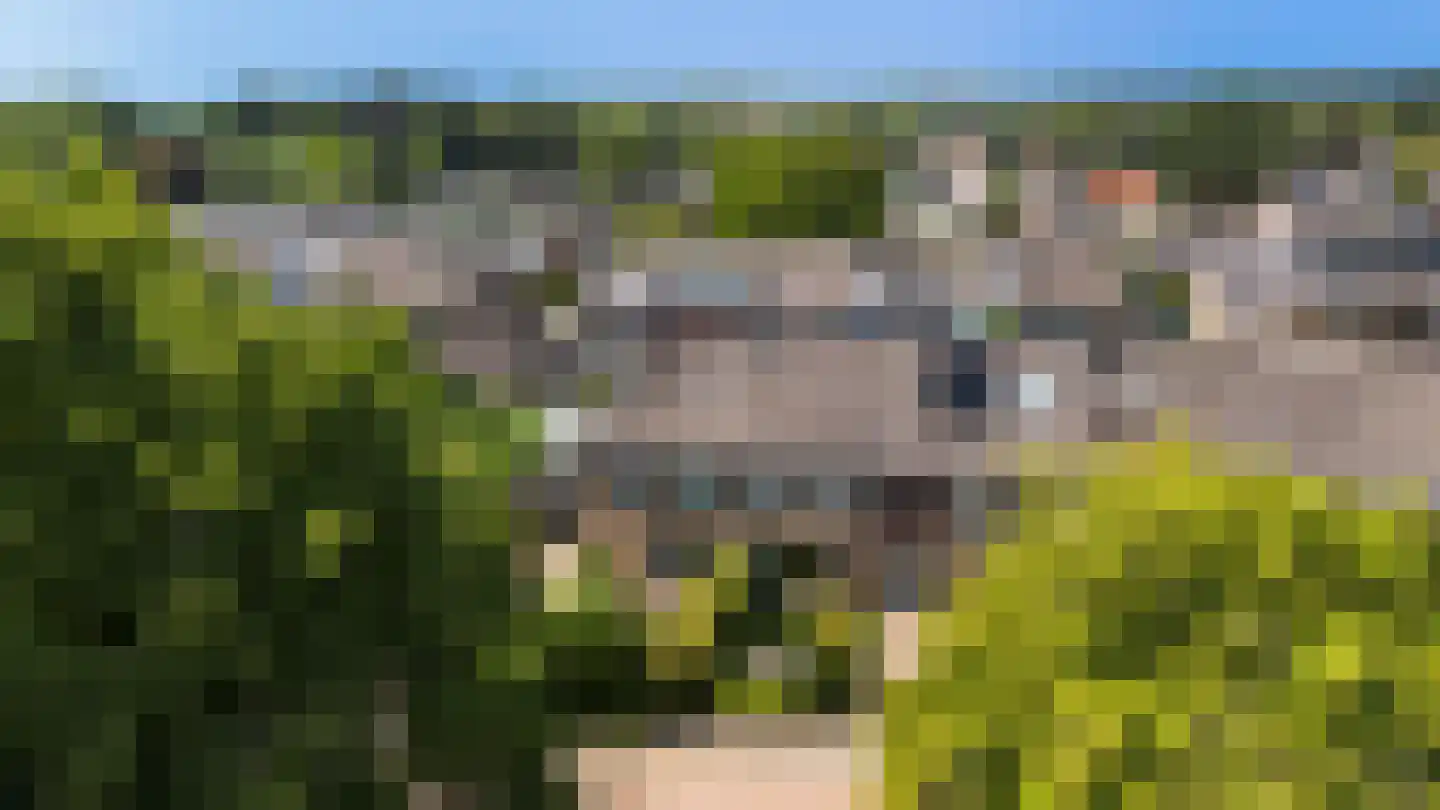 Gerard Doulaan 18 Apeldoorn thumbnail 35