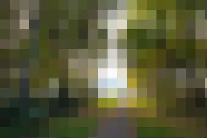 Gerard Doulaan 2 Hilversum thumbnail 59
