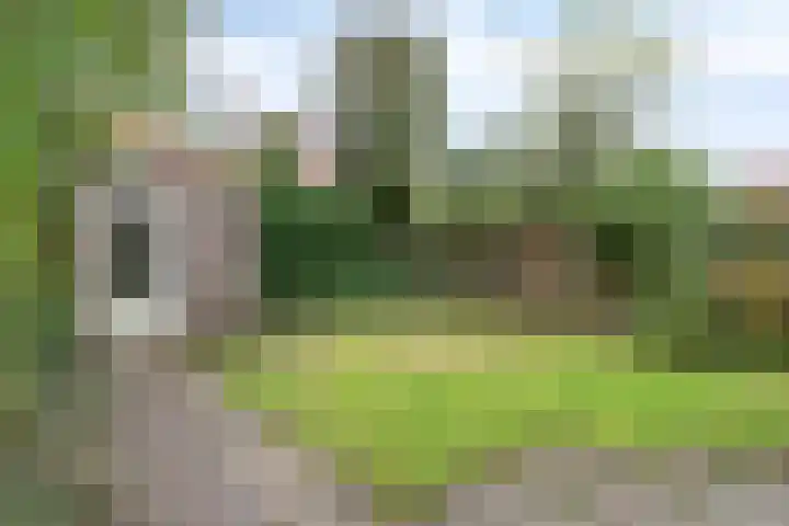 Gerard Doulaan 28 Amstelveen thumbnail 10