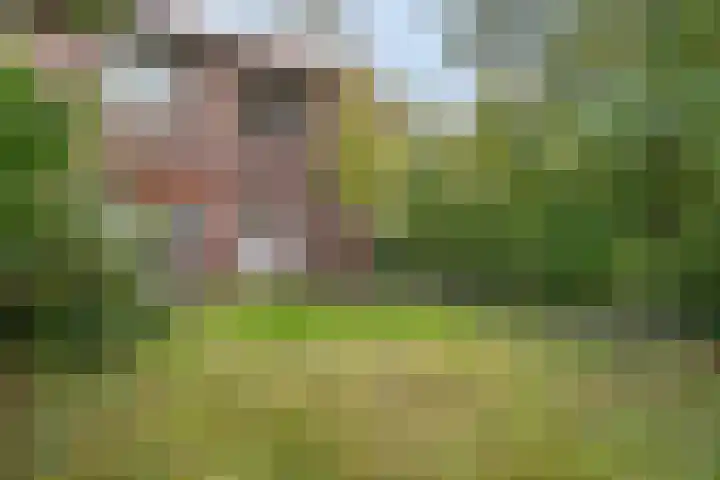 Gerard Doulaan 28 Amstelveen thumbnail 11