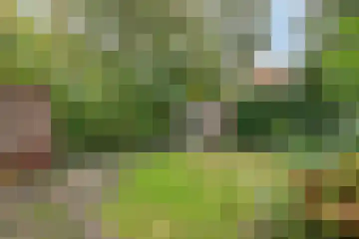 Gerard Doulaan 28 Amstelveen thumbnail 12