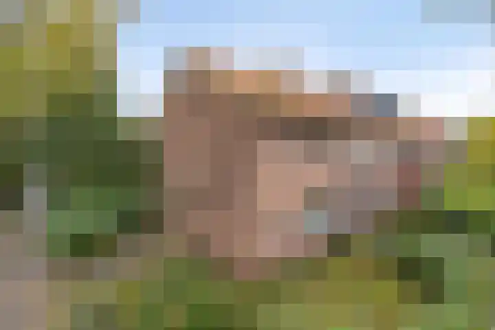Gerard Doulaan 28 Amstelveen thumbnail 25