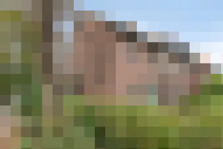 Gerard Doulaan 28 Amstelveen thumbnail 27