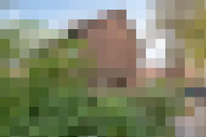 Gerard Doulaan 28 Amstelveen thumbnail 29