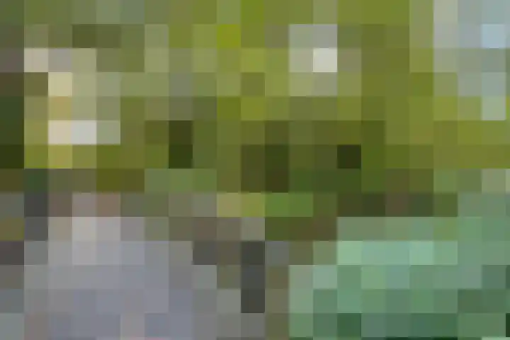 Gerard Doulaan 28 Amstelveen thumbnail 30