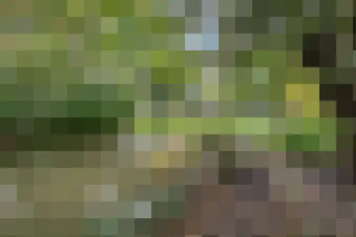 Gerard Doulaan 28 Amstelveen thumbnail 31