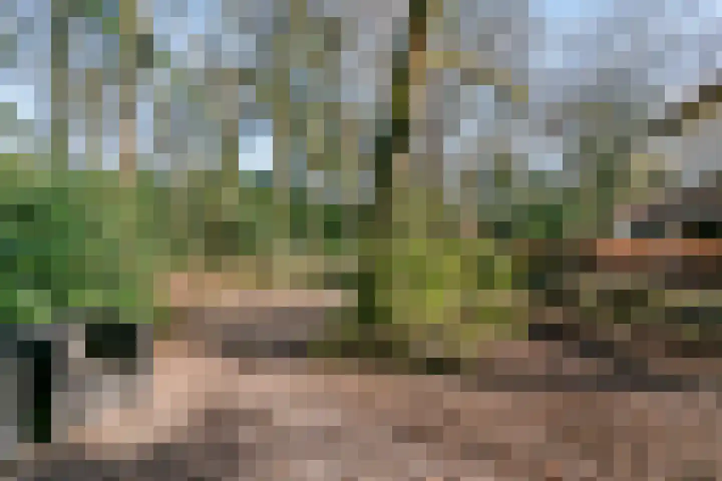 Gerard Doulaan 29 Bilthoven thumbnail 49