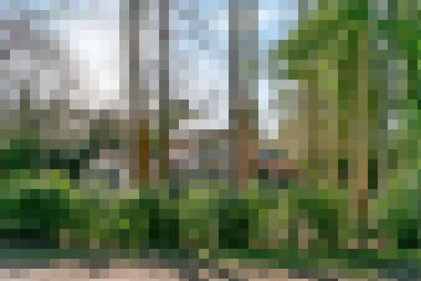 Gerard Doulaan 29 Bilthoven thumbnail 5