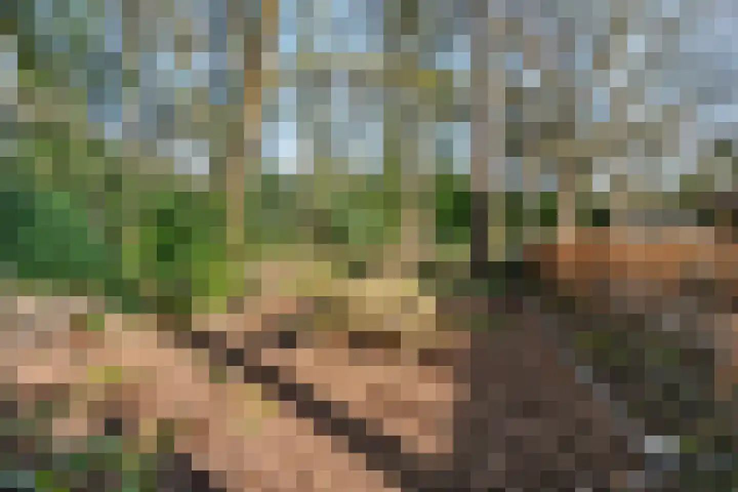Gerard Doulaan 29 Bilthoven thumbnail 52