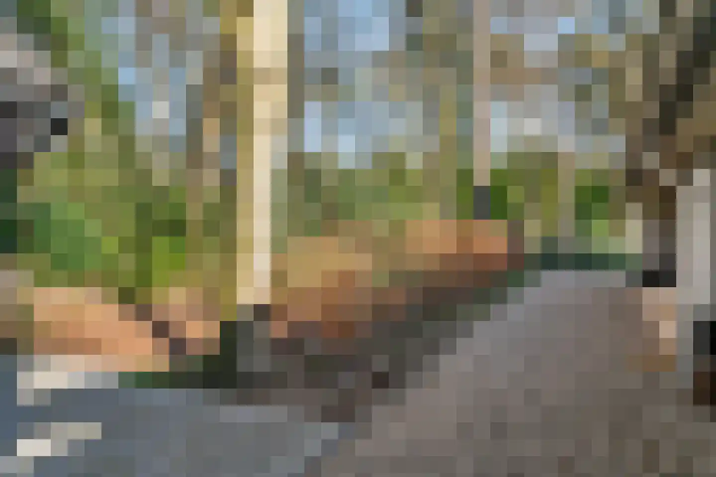 Gerard Doulaan 29 Bilthoven thumbnail 53