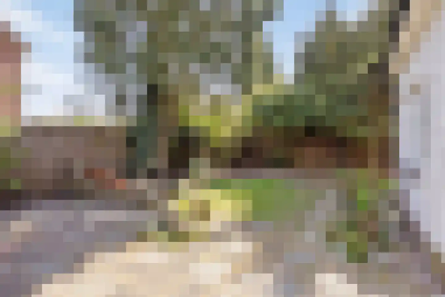 Gerard Doulaan 29 Muiderberg thumbnail 20