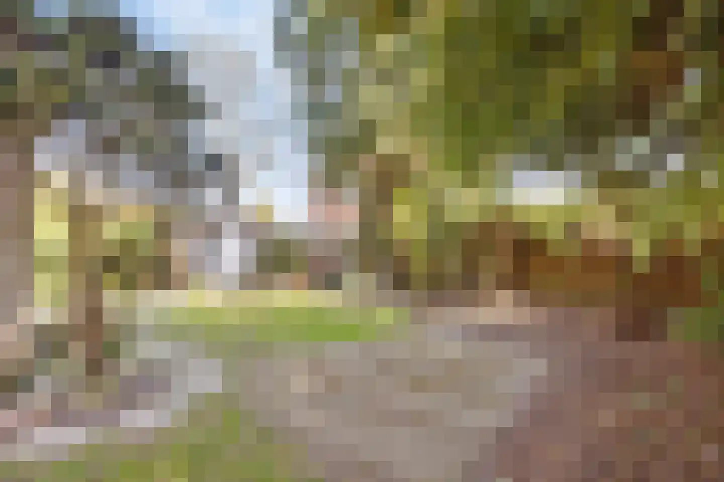 Gerard Doulaan 29 Muiderberg thumbnail 22