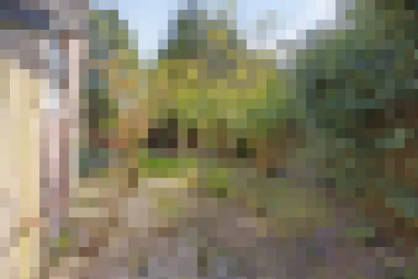 Gerard Doulaan 29 Muiderberg thumbnail 24