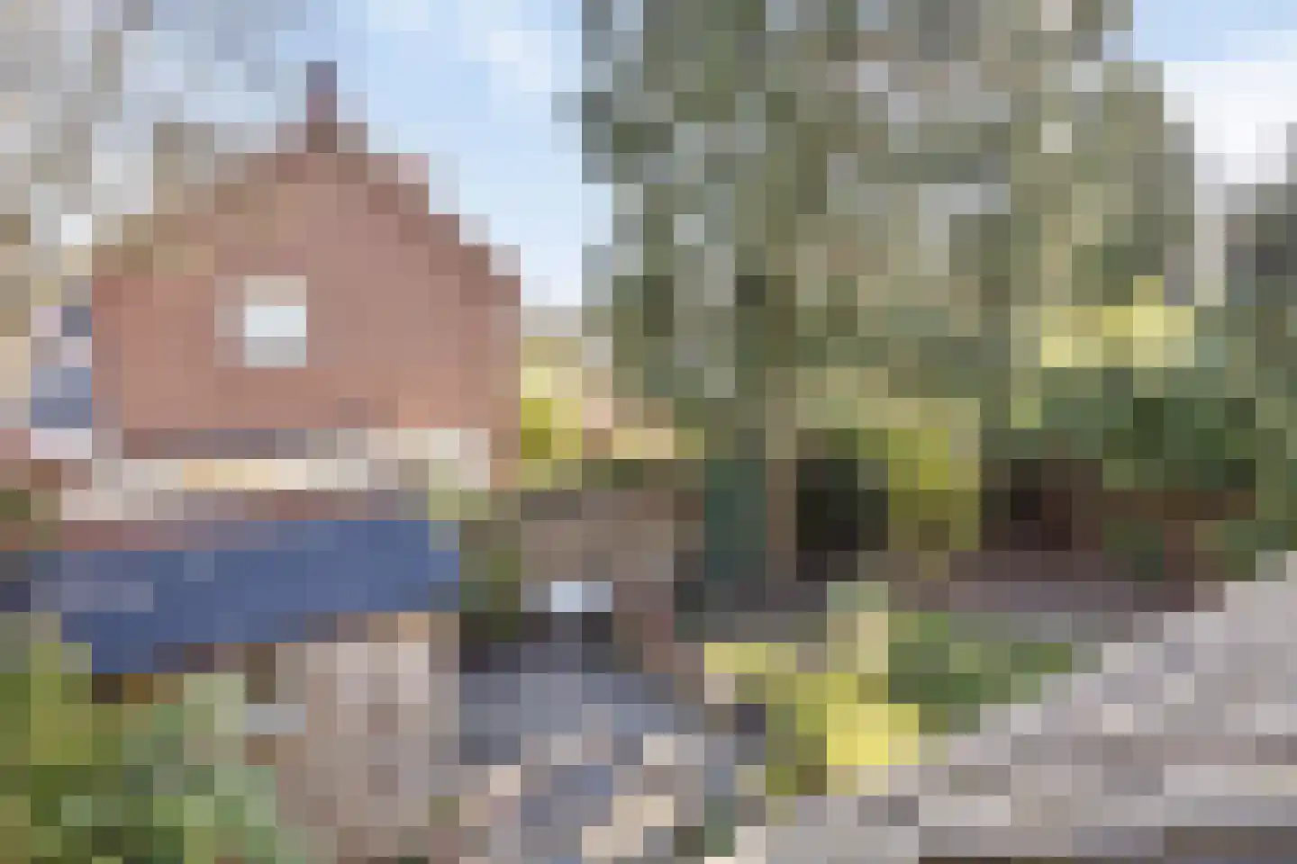 Gerard Doulaan 29 Muiderberg thumbnail 38