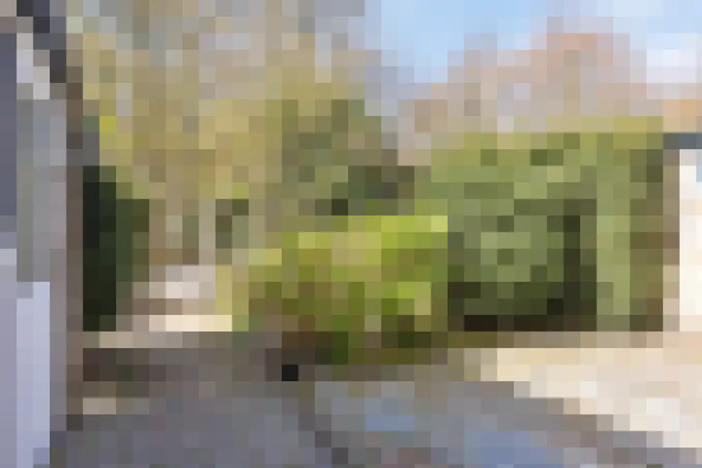 Gerard Doulaan 29 Muiderberg thumbnail 6