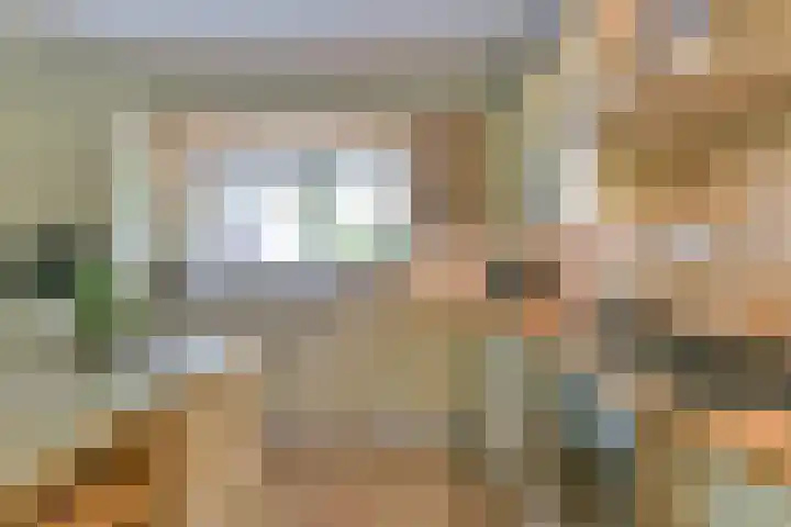 Gerard Doulaan 30 Bilthoven thumbnail 15