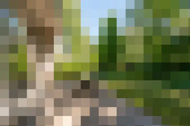 Gerard Doulaan 30 Bilthoven thumbnail 21