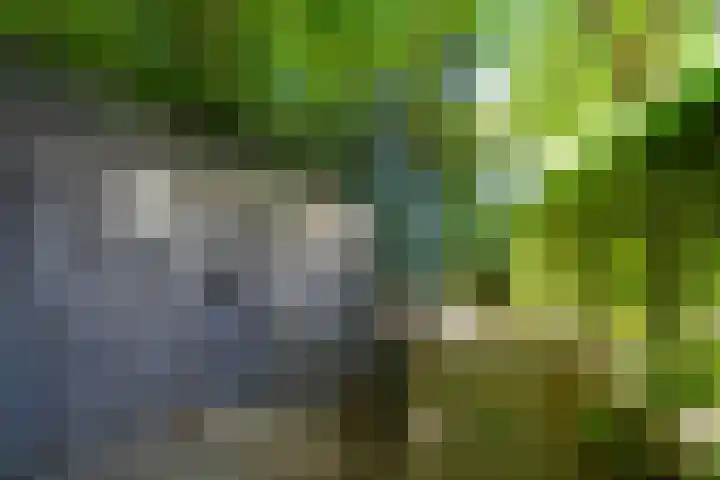 Gerard Doulaan 30 Bilthoven thumbnail 27