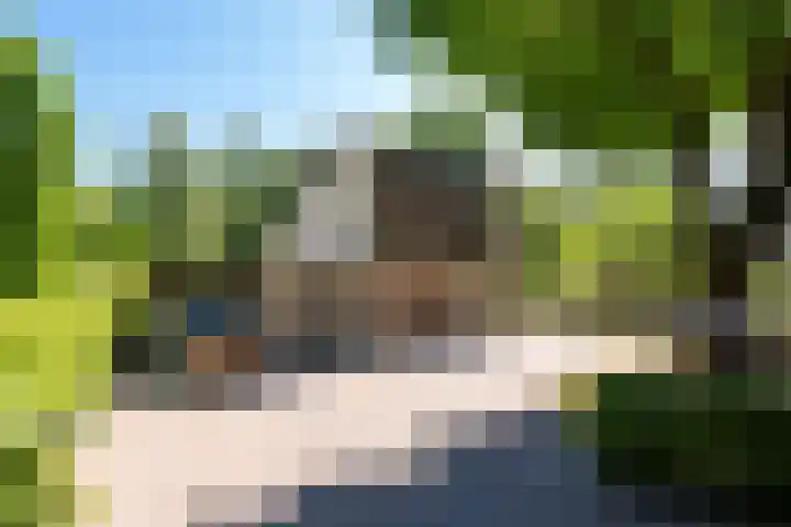 Gerard Doulaan 30 Bilthoven thumbnail 4