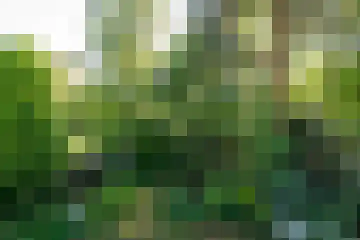 Gerard Doulaan 30 Bilthoven thumbnail 43