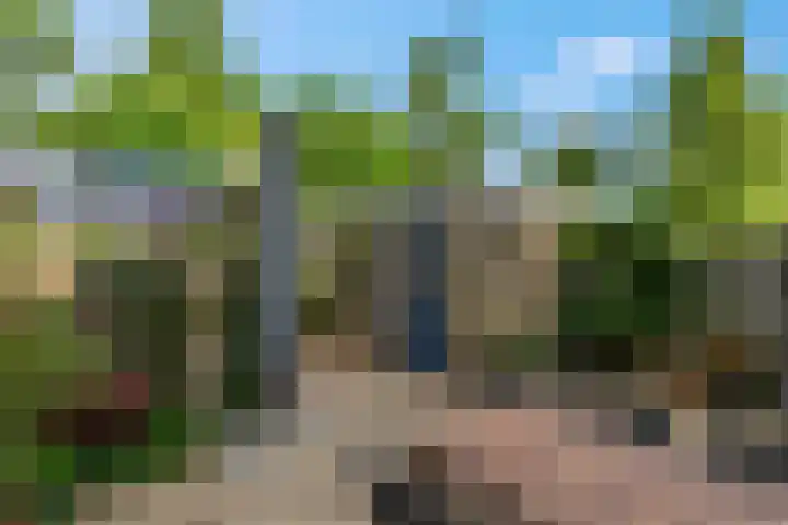 Gerard Doulaan 34 Woudenberg thumbnail 4
