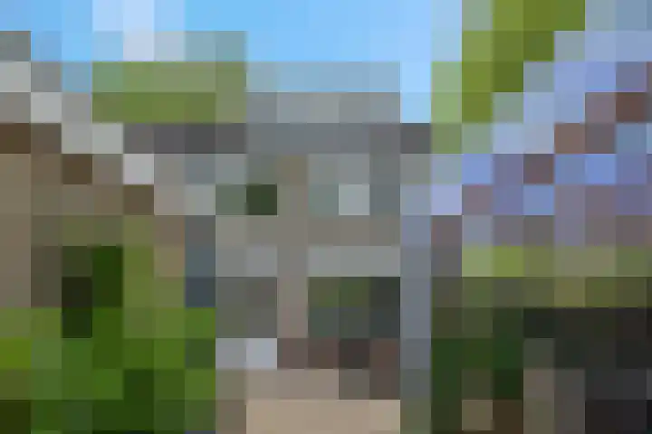 Gerard Doulaan 34 Woudenberg thumbnail 42