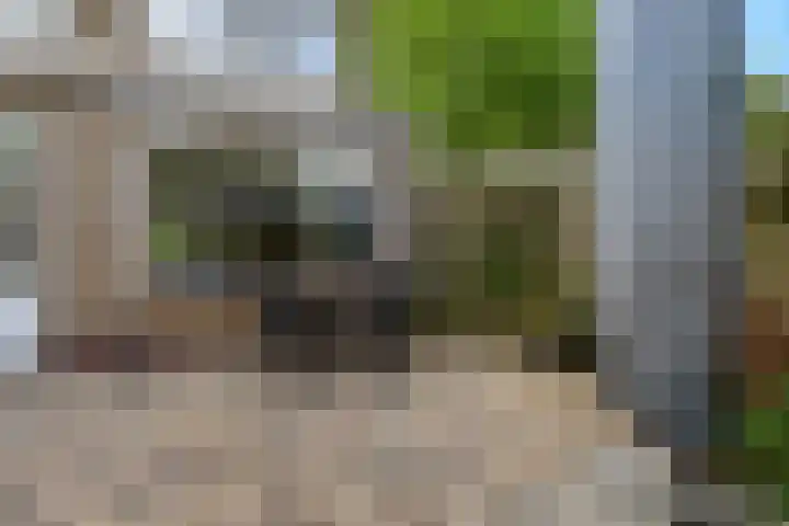 Gerard Doulaan 34 Woudenberg thumbnail 43