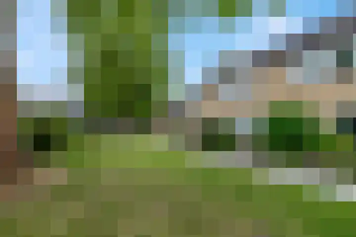 Gerard Doulaan 34 Woudenberg thumbnail 5