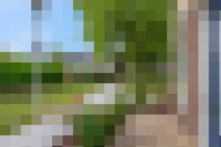 Gerard Doulaan 34 Woudenberg thumbnail 8