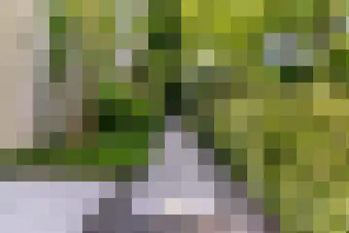 Gerard Doulaan 36 Bilthoven thumbnail 33