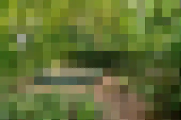 Gerard Doulaan 36 Bilthoven thumbnail 34