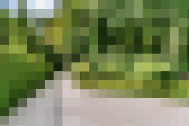 Gerard Doulaan 36 Bilthoven thumbnail 35