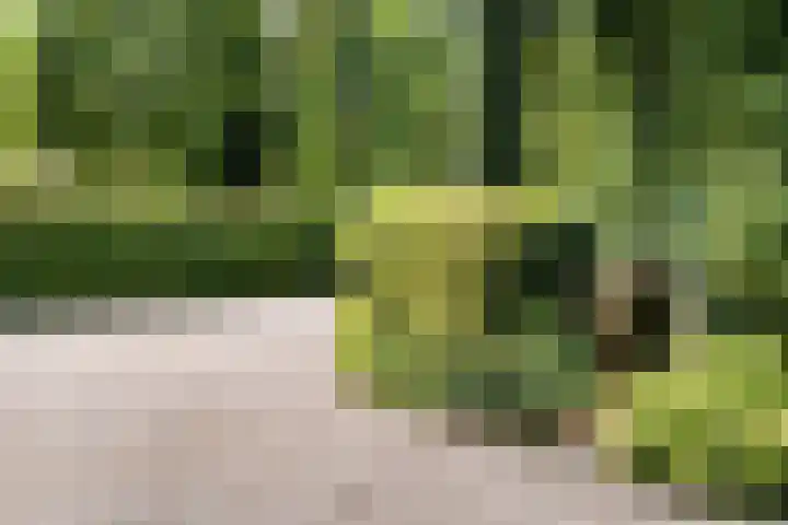 Gerard Doulaan 36 Bilthoven thumbnail 36