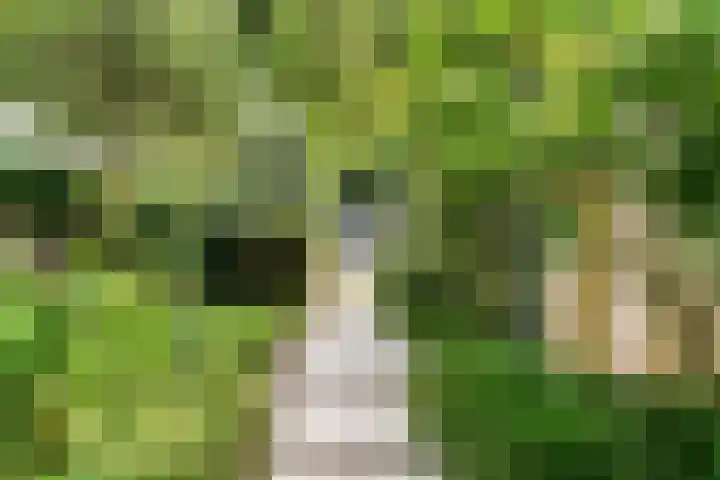 Gerard Doulaan 36 Bilthoven thumbnail 37