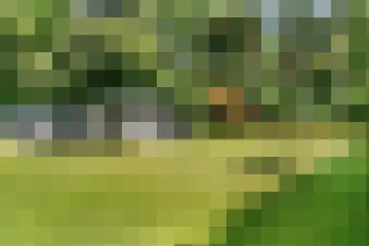 Gerard Doulaan 36 Bilthoven thumbnail 38