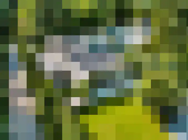Gerard Doulaan 36 Bilthoven thumbnail 4