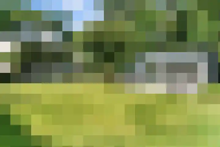 Gerard Doulaan 36 Bilthoven thumbnail 40