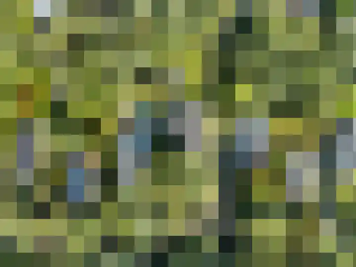 Gerard Doulaan 36 Bilthoven thumbnail 43